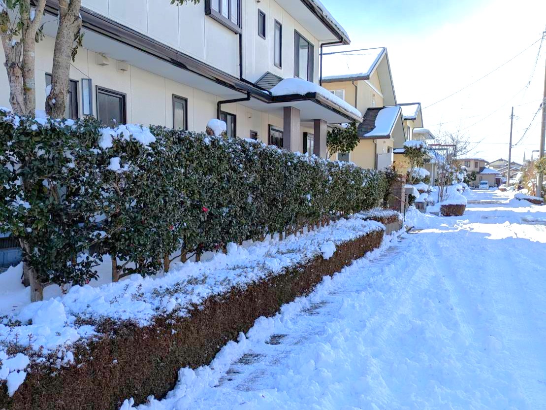 須賀川市の雪の日の様子