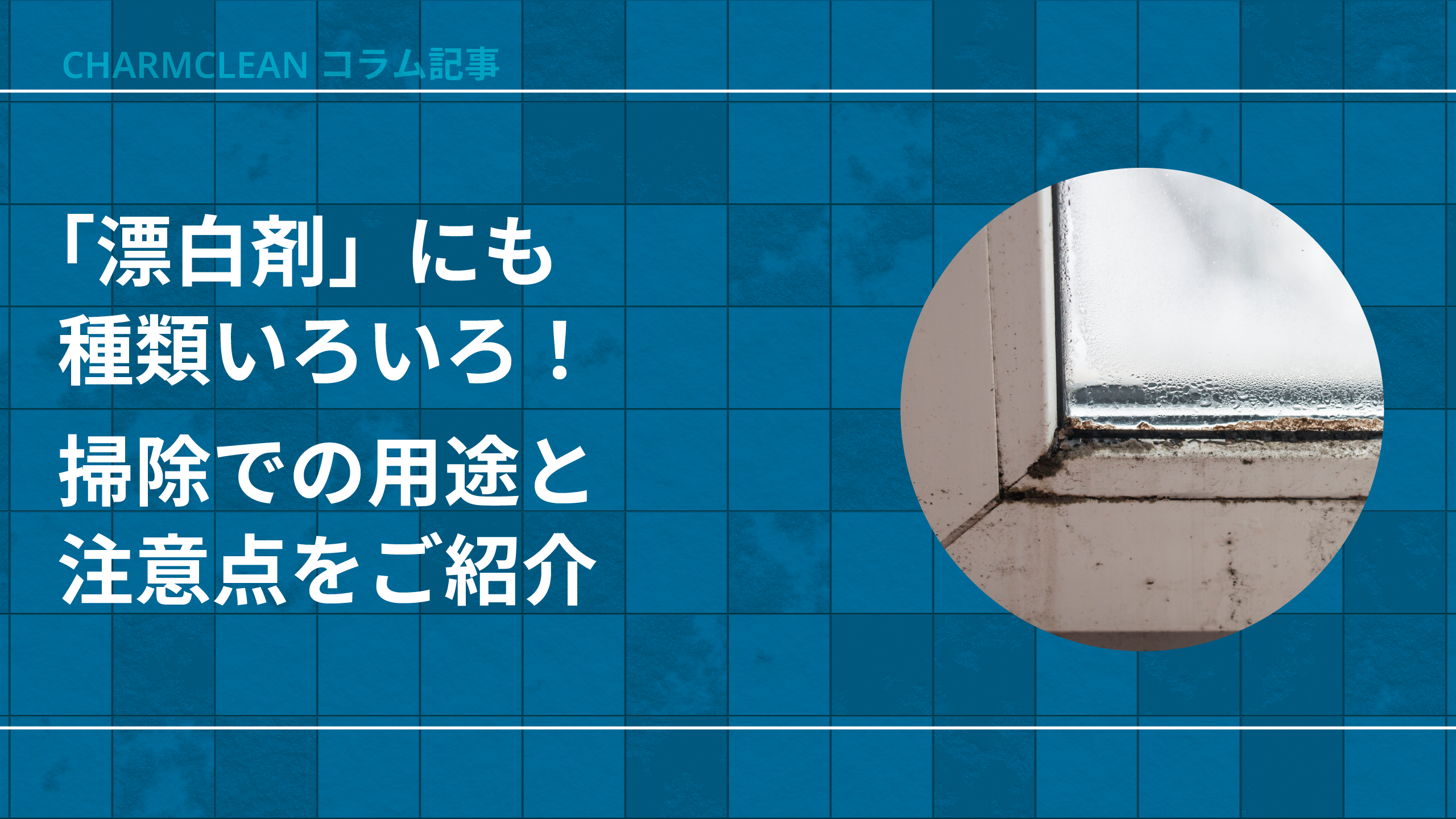 「漂白剤」にも種類いろいろ！掃除での用途と注意点をご紹介