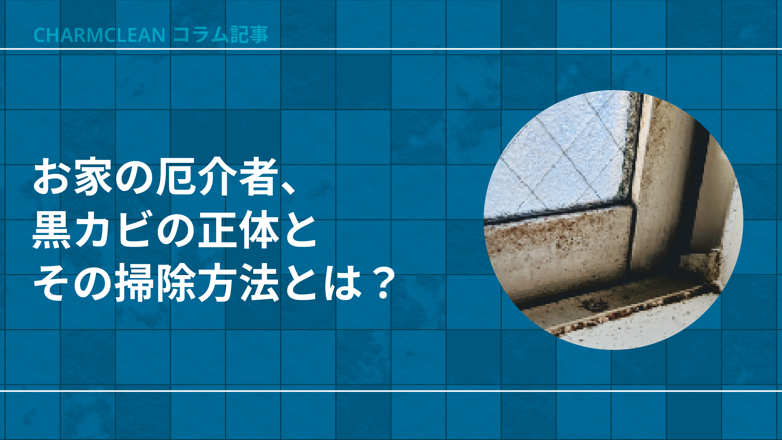 お家の厄介者、黒カビの正体とその掃除方法とは?