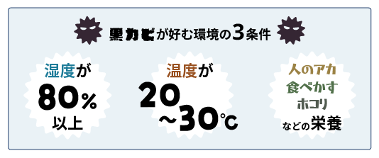 黒カビが好む環境の3条件 湿度が80%以上 温度が20~30度 人のアカ、食べかす、ホコリなどの栄養