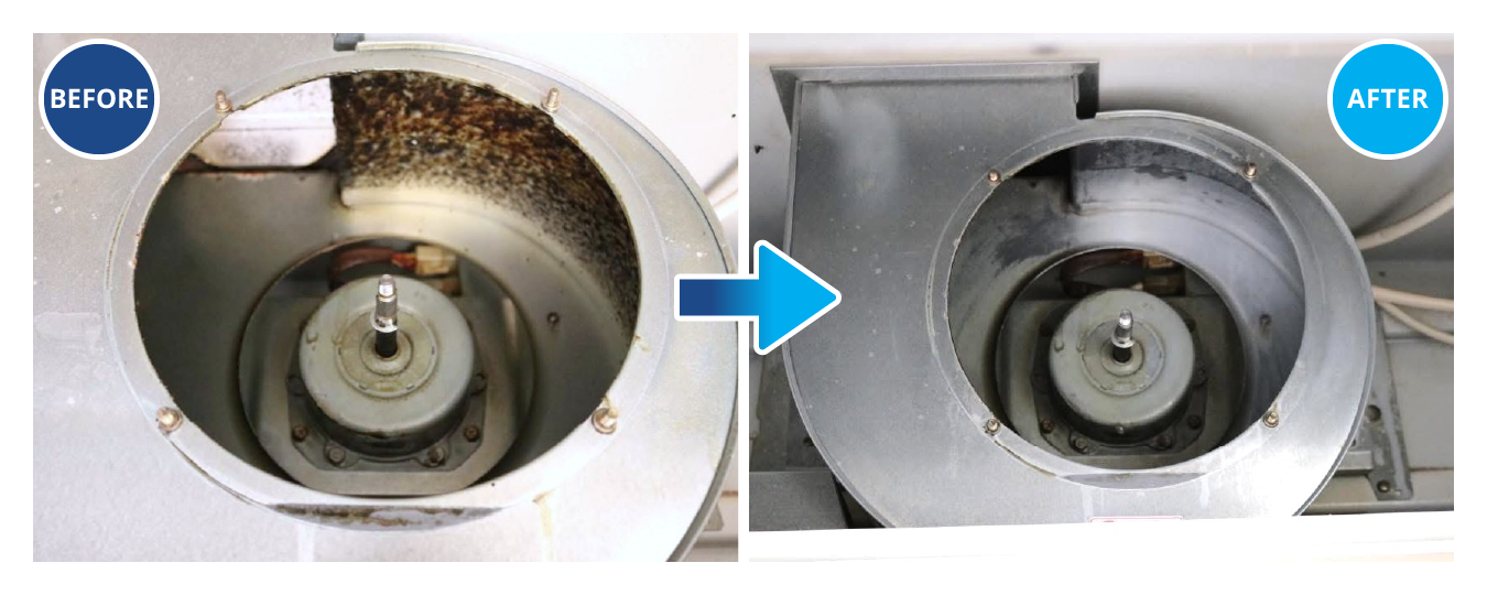 換気扇の掃除のビフォー・アフター