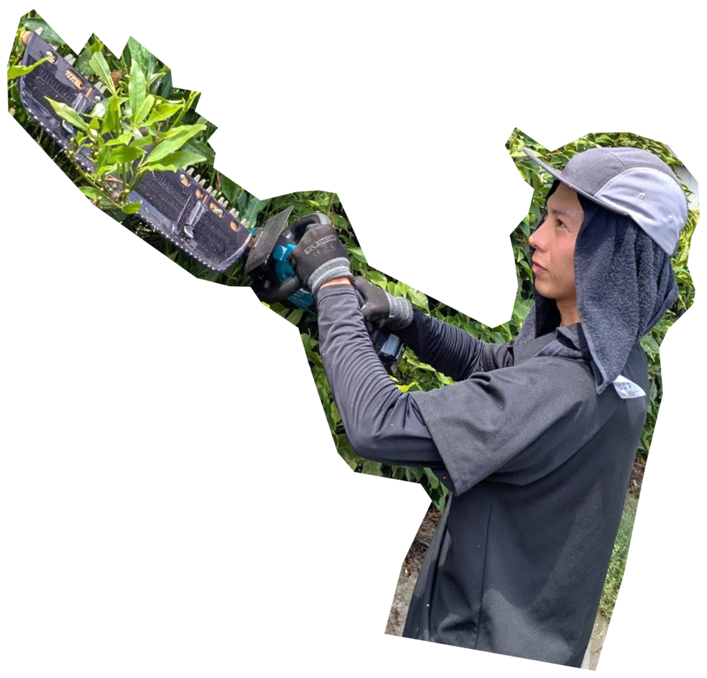 植木用バリカンを持ったスタッフ