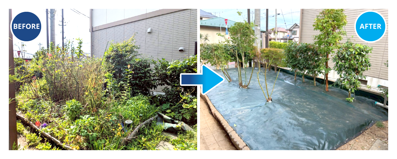 植木の整備のビフォー・アフター