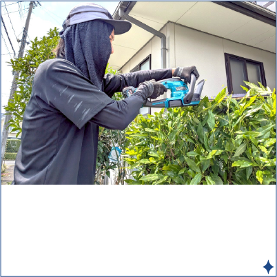 お掃除メニュー:生け垣・低木の整備