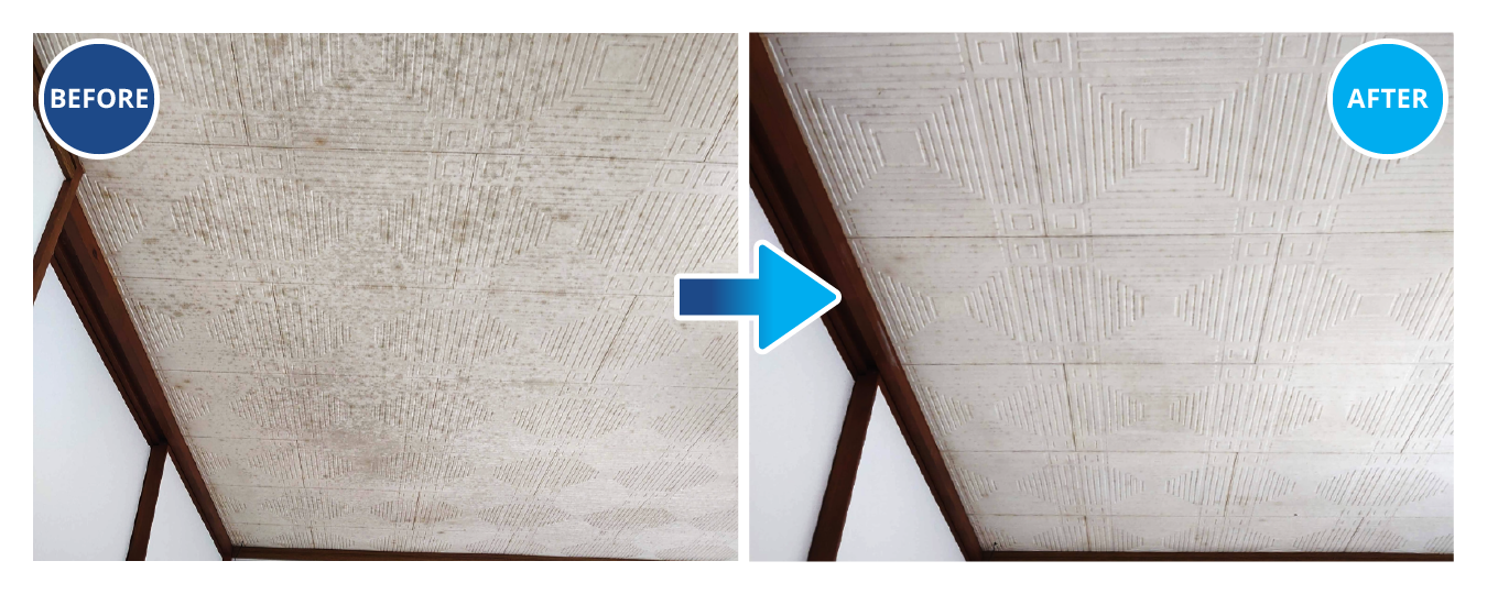 天井の掃除のビフォー・アフター