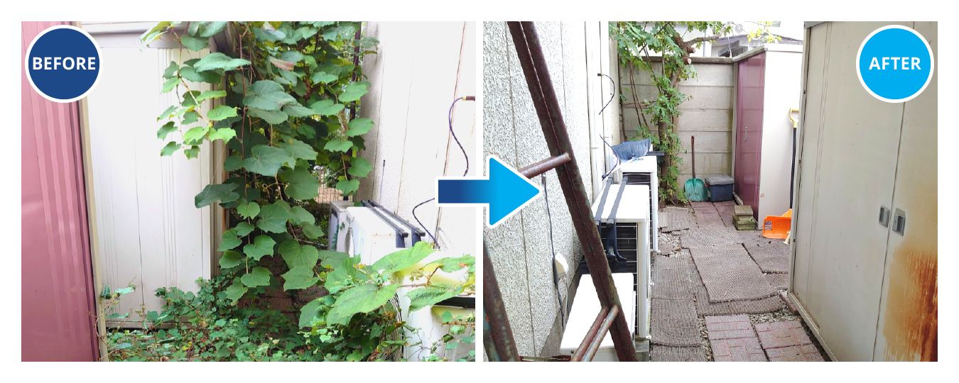 ツタが伸びた庭の掃除のビフォー・アフター