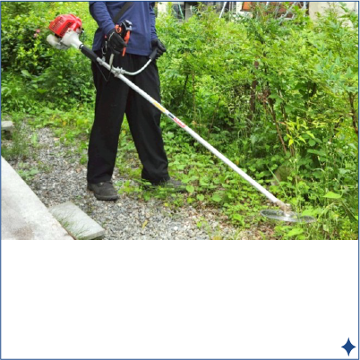 お掃除メニュー:草刈り・刈払い